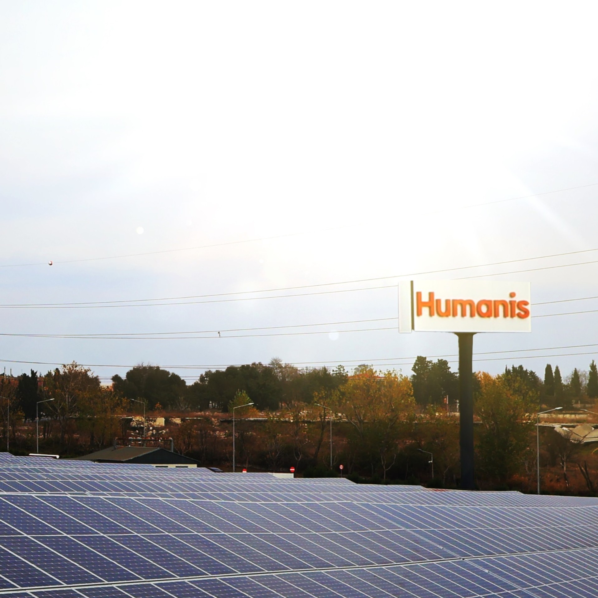 Humanis’ten geleceğe duyarlı adımlar:  2024 Sürdürülebilirlik Raporu Yayımlandı image